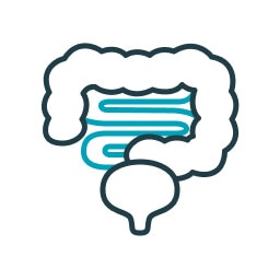 How Your Bowel Works 