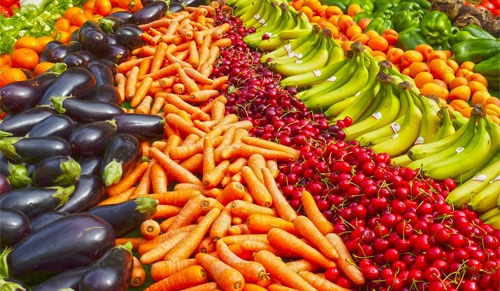 Diet and Nutrition