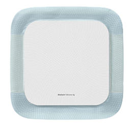 Silicone Ag
