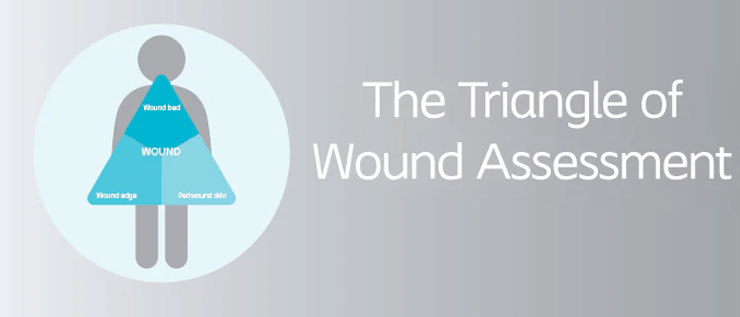 Triangle Of Wound Assessment